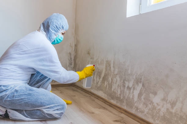 Licensed Hvac And Air Duct Mold Remediation service in Houston, TX - Mold Remediation HQ