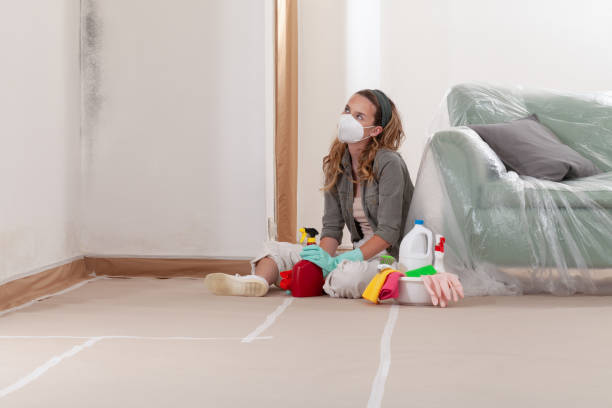 Reliable Hvac And Air Duct Mold Remediation contractor in Houston, TX by Mold Remediation HQ